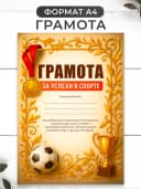 Набор подарочный грамота и медаль - спортивный успехи — фото 2