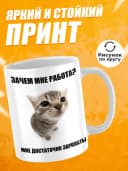 Кружка с приколом, мем в офис - Зачем мне работа? — фото 2