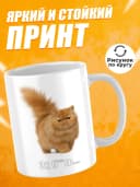 Кружка с приколом в подарок мем - уставший кот — фото 2