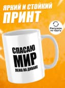 Кружка с приколом в подарок мем - спасаю мир — фото 2