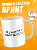 Кружка с приколом в подарок начальнику - руковожу цирком — фото 2