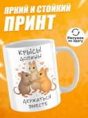 Кружка для чая с приколом - Крысы держаться вместе — фото 2