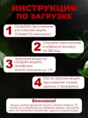 Оживающая открытка с вашим видео в конверте — фото 7