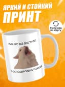 Кружка для чая с приколом, мем в офис - Как же всё достало — фото 2