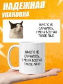 Кружка для чая с приколом, мем в офис - Ничего не случилось — фото 4