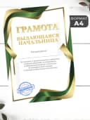 Набор подарочный грамота и медаль - Выдающаяся начальница — фото 2
