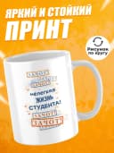 Кружка для чая прикольная в подарок студенту — фото 2
