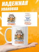 Кружка для чая прикольная в подарок студенту — фото 3