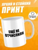 Кружка для чая с приколом в подарок студенту — фото 2