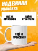 Кружка для чая с приколом в подарок студенту — фото 3