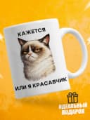 Кружка для чая с приколом - Кажется или я красавчик — фото 1