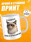 Кружка для чая с приколом - Кажется или я красавчик — фото 2