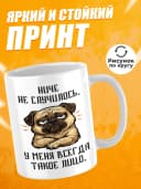 Кружка для чая с приколом - Ниче не случилось. — фото 2