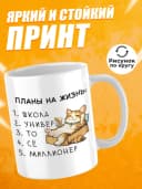 Кружка для чая с приколом в подарок - Планы на жизнь — фото 2