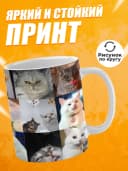 Кружка для чая с приколом - Мем-коты — фото 2