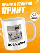 Кружка для чая с приколом в подарок - Всё норм — фото 2