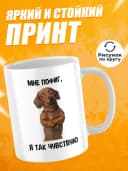 Кружка для чая с приколом - Мне пофиг, я так чувствую — фото 2