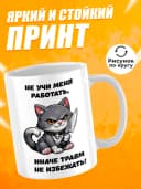 Кружка для чая с приколом в подарок - Не учи меня работать — фото 2