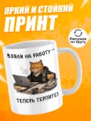 Кружка для чая с приколом в подарок - Взяли на работу — фото 2