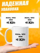 Кружка для чая с приколом в подарок - Жаль, что мне — фото 3