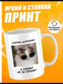 Кружка для чая с приколом в подарок - Шутки — фото 2
