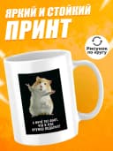 Кружка для чая с приколом в подарок - А ничё тот факт — фото 2