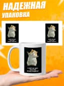 Кружка для чая с приколом в подарок - А ничё тот факт — фото 3