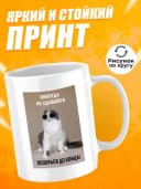 Кружка для чая с приколом в подарок - Никогда не сдавайся — фото 2