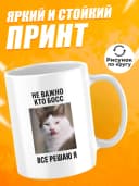 Кружка для чая с приколом в подарок - Не важно кто босс — фото 2