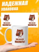Кружка для чая с приколом в подарок - Мне на все наспать! — фото 3