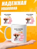 Кружка для чая с приколом в подарок - Все бабы — фото 3