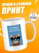 Кружка для чая с приколом в подарок - Не спрашивай — фото 2