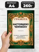 Грамота диплом в подарок - Настоящему чемпиону — фото 2