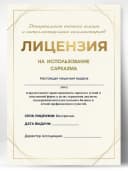 Лицензия подарочная шуточная - На использование сарказма — фото 1