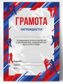 Грамота спортивная - За успехи в рукопашном бою, 1 шт — фото 1