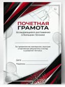 Грамота спортивная - За достижения в большом теннисе — фото 1