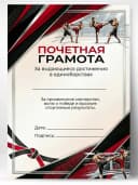 Грамота спортивная - За достижения в единоборствах, 1 шт — фото 1